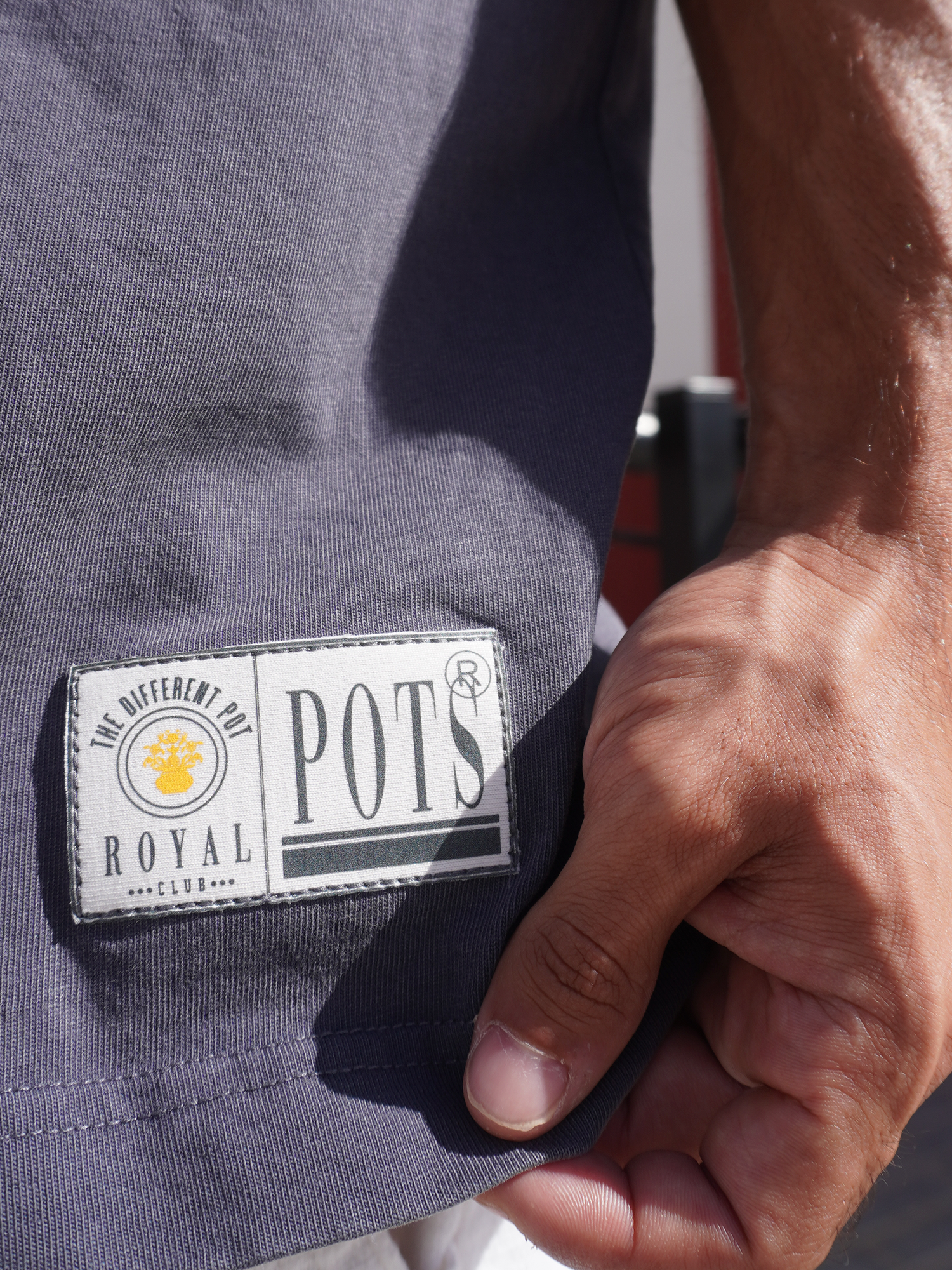 THE CROWN POT